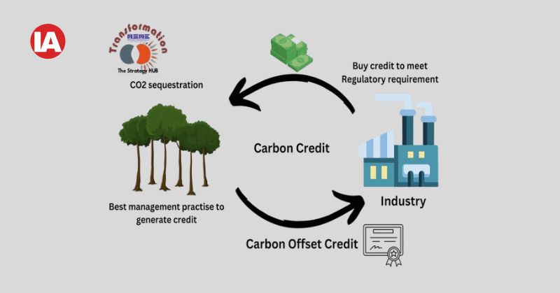 Businesses earn carbon credits by adopting sustainable practices